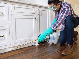 Best Residential Pest Control  in Ara, AL